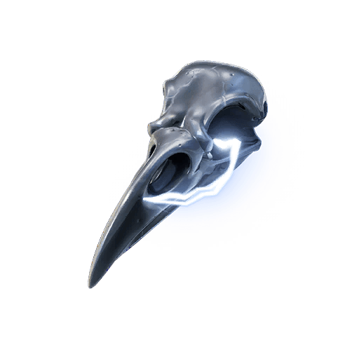 Bird Skull