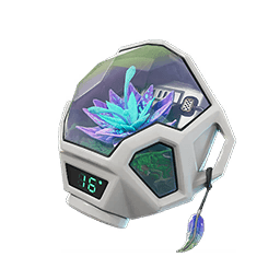 Blossom Pod