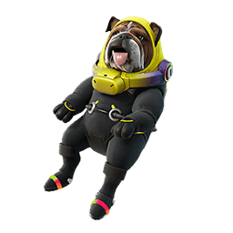 Rocket-Ready Roscoe