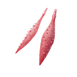 Poison Petals