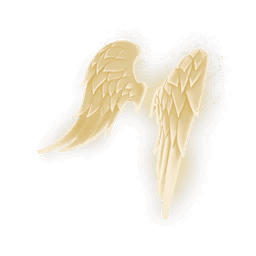 Wings of Light