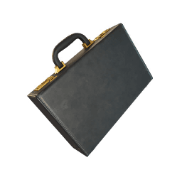 The Briefcase