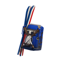 Alpine Accessories (FRA)