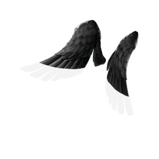 Shadow Ark Wings