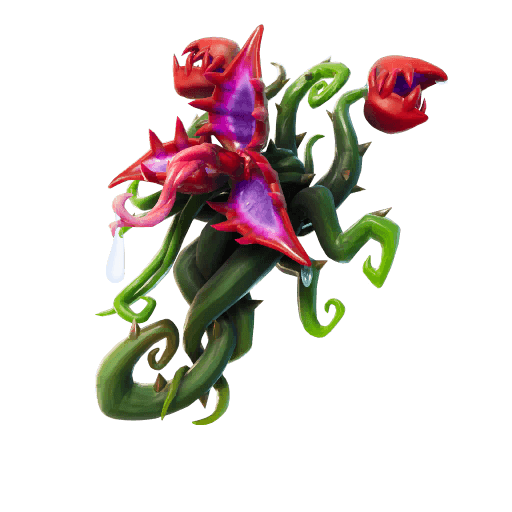 Back Bloom
