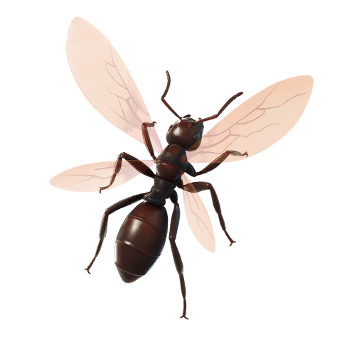 Ant-Tonio