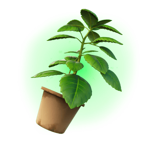 Green Herb