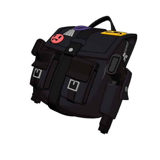 Little Black Bag
