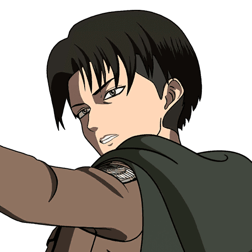 Captain Levi