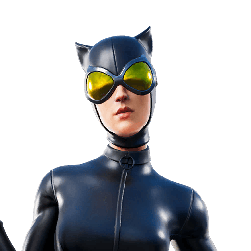Catwoman Comic Book Outfit