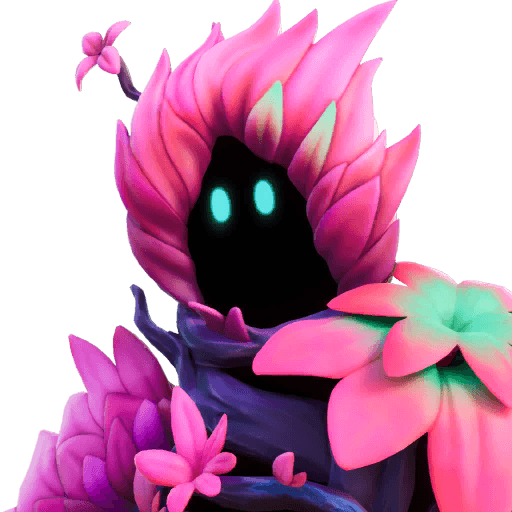 Bloom