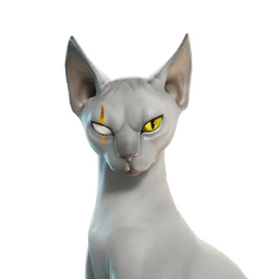 Meowdas Sphynx