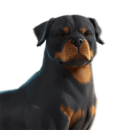 EsDeeKid's Canine