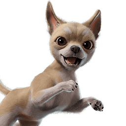 Teacup Chi-Pup
