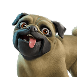 Doggo Jr.