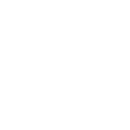 Bout