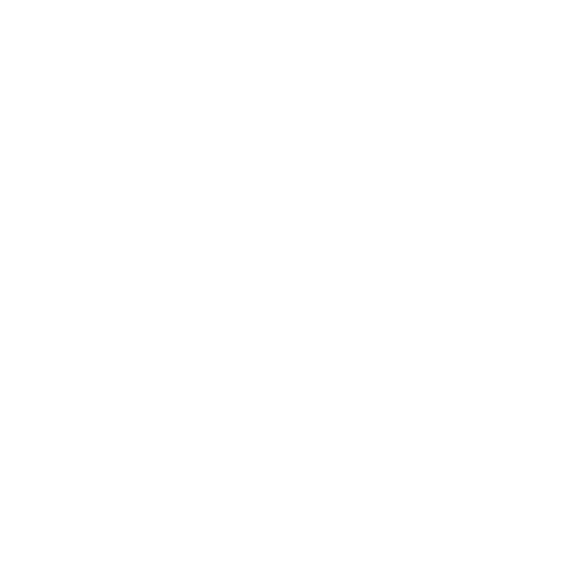 Rising Phoenix
