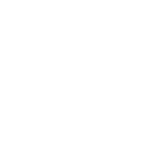Rolly Rider