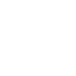 The Largest