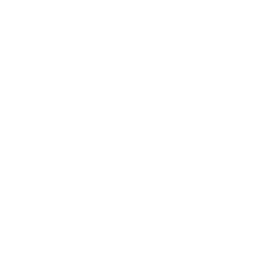 Side Step