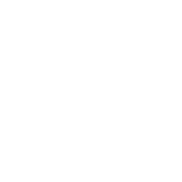 Point and Strut