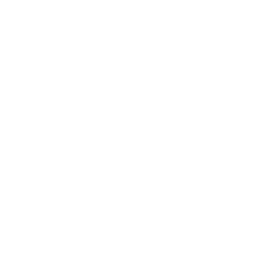 Flexy 