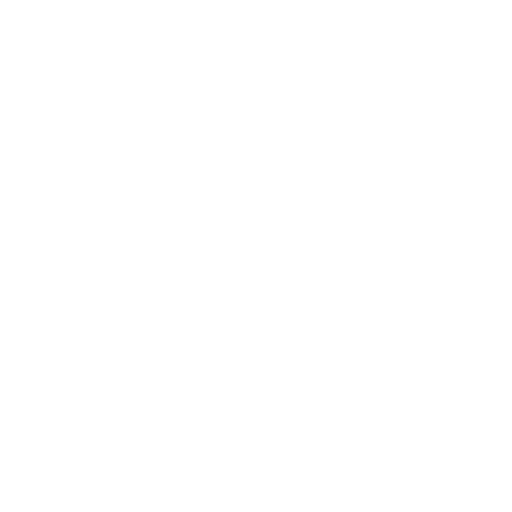 Fast Feet