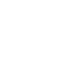 Leaf Blower