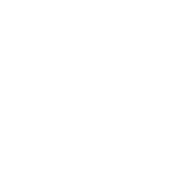 Catling Gun