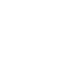 Dancin' Domino