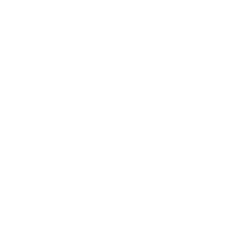 Test Your Strength