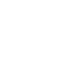 Victory Flag
