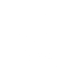Stupid Sexy Skiing