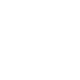 Billy's Tricycle
