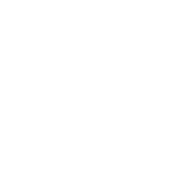 Stone Cold Celebration