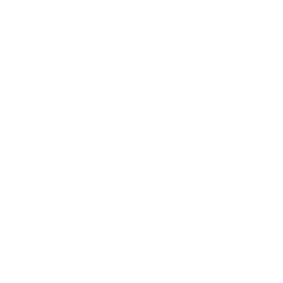 Dark Transformation