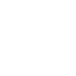Action! Kick