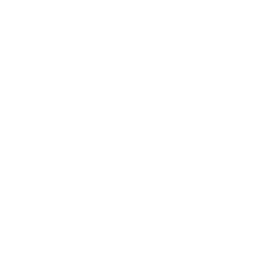 Soul Slash