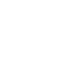 TiK ToK