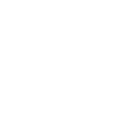 Peter Griffin Speed Bag