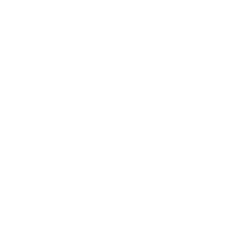 Gun Show