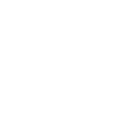 Bodies