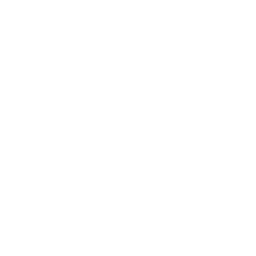 Lil' Skimboard