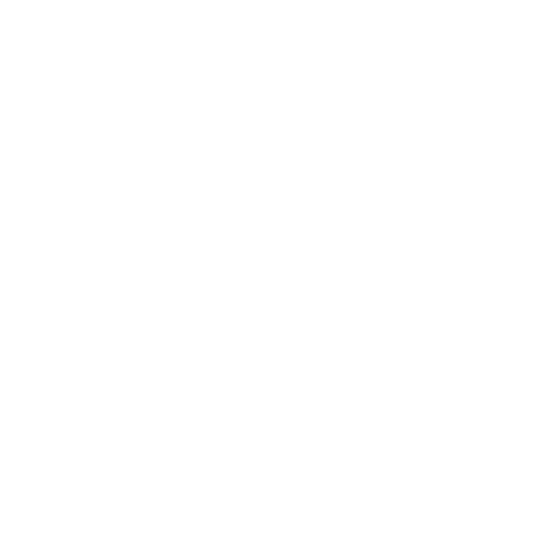 Disc Spinner