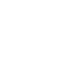Gangsta Walk