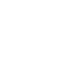 Bossa Boogie