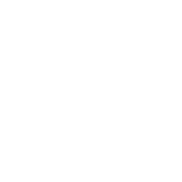 Striking Strut