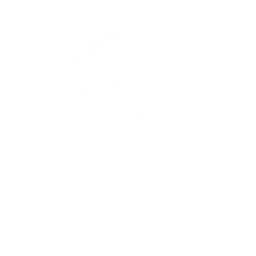 Bow Go