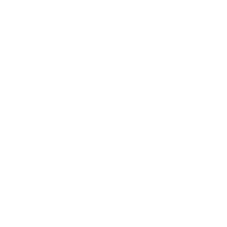 Punk Rock Shredder