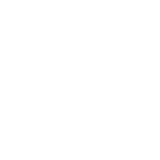 Battle Brother